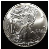 2004 AMERICAN SILVER EAGLE