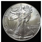 2025  AMERICAN SILVER EAGLE