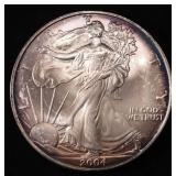 2004 AMERICAN SILVER EAGLE