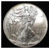 2013 AMERICAN SILVER EAGLE