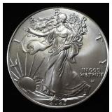 2025  AMERICAN SILVER EAGLE