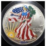 2000 PAINTED AMERICAN SILVER EAGLE
