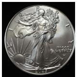 2025 AMERICAN SILVER EAGLE