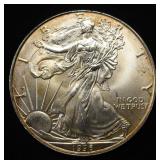 1996 AMERICAN SILVER EAGLE