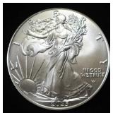 2025  AMERICAN SILVER EAGLE