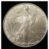 2006 AMERICAN SILVER EAGLE