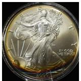 2000 AMERICAN SILVER EAGLE