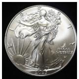 2025 AMERICAN SILVER EAGLE