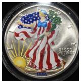 1991 PAINTED AMERICAN SILVER EAGLE