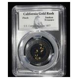 CALIFORNIA GOLD RUSH PINCH SUNKEN TREASURE