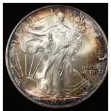 2001 AMERICAN SILVER EAGLE
