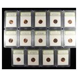 (14) 2009-P LINCOLN FORMATIVE YEAR CENT INB BU