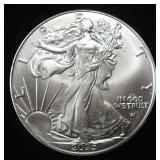 2025 AMERICAN SILVER EAGLE