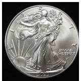 2023 AMERICAN SILVER EAGLE
