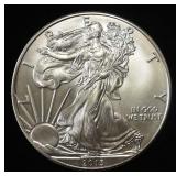 2013 AMERICAN SILVER EAGLE