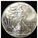 2013 AMERICAN SILVER EAGLE