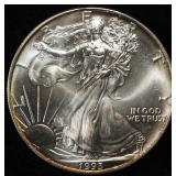 1993 AMERICAN SILVER EAGLE