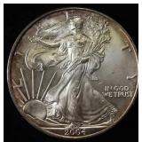 2004 AMERICAN SILVER EAGLE