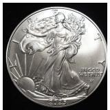 2025 AMERICAN SILVER EAGLE