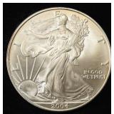 2004 AMERICAN SILVER EAGLE