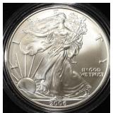 2006-W AMERICAN SILVER EAGLE