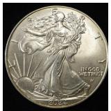 2024 AMERICAN SILVER EAGLE