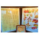 Framed Posters, Framed Picture & Lg Pinecones