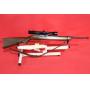 FIREARMS-AMMO-WILDLIFE MOUNTS