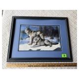 Wolf Picture