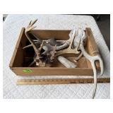 Deer Antlers, Wooden Crate
