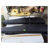 (2) Padded Gun Cases