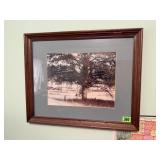 Framed Artwork
