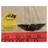 CAA War Training Service Pin