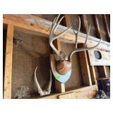 Deer Antler Mount