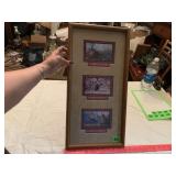 Matted/Framed Pheasant Prints