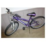 Next Bike 