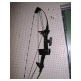Bear Compound Bow