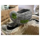 Sea shell planter x12 Sea shell planter x12