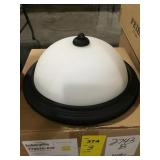 Seagull lighting ceiling fixture