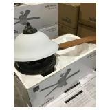 Indoor ceiling fan w/ 2 lights