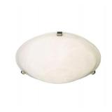 2 Light Flush Mount Ceiling Light x2