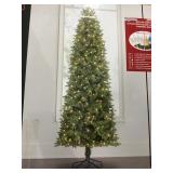 7ft pre lit Dawson pine tree