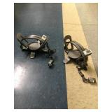 Coil spring traps x12