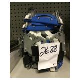 Inserts for face shields for one money