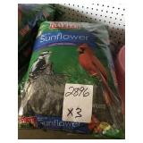 10 pound bag of Black Oil Sunflower seed