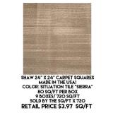 Shaw 24" x 24" Carpet Squares x 720 sq ft