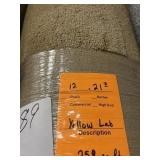 12x21.7 Roll of Plush Carpet x 259 sq ft