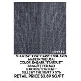 Shaw 24" x 24" Carpet Squares x 576 sq.ft