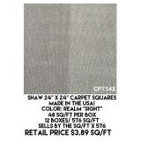 Shaw 24" x 24" Carpet Squares x 576 sq.ft