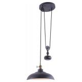 Aztec Lighting Industrial 1-light Pendant